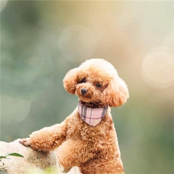 Bow Tie Dog Collar and Leash Set Classic Plaid - Picture 6 of 7